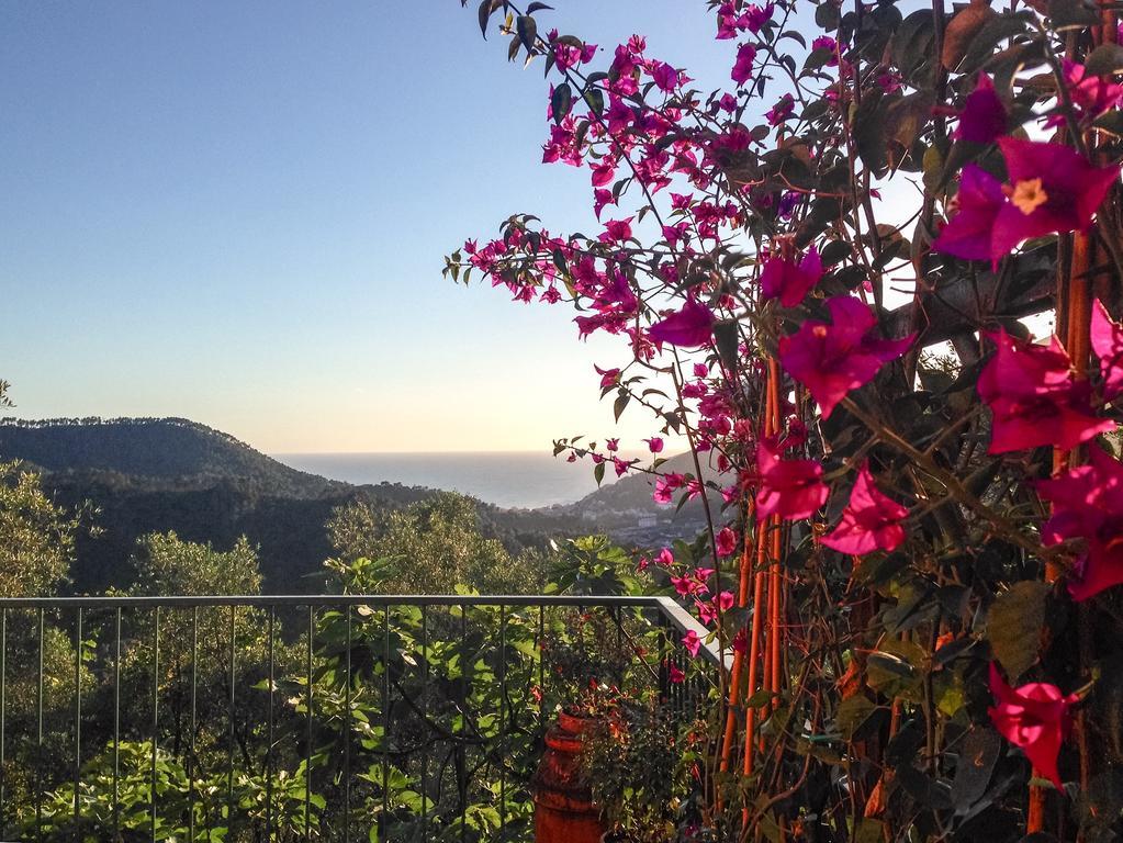 La Casa Di Vera Levanto Dış mekan fotoğraf